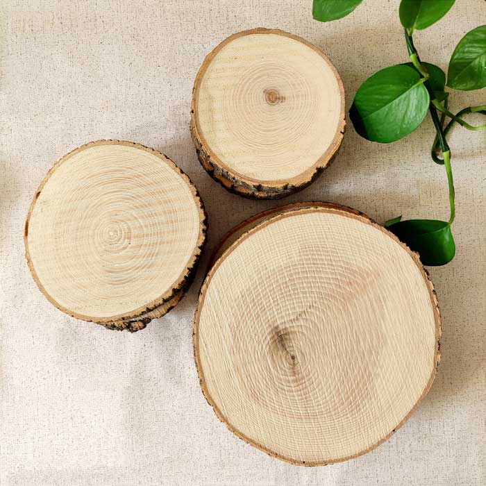 تنه درخت چوبی تزئینی
