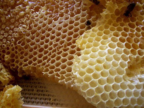مزایای موم زنبور عسل