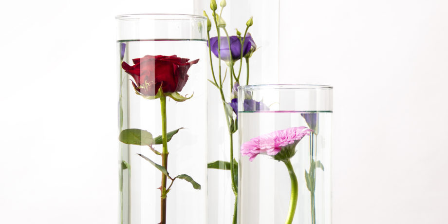 تزئین گلدان شیشه ای استوانه ای با گل طبیعی